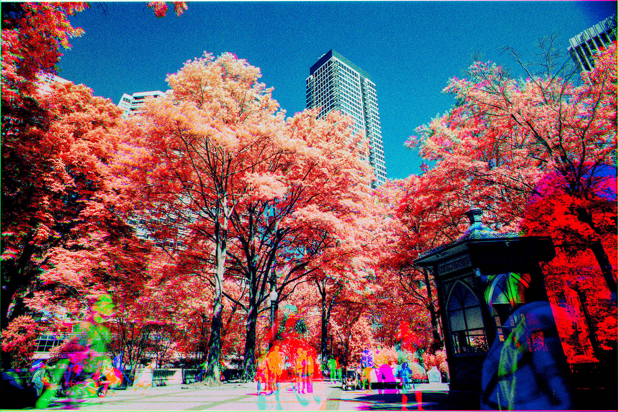 A Rittenhouse trichrome photo from 3 combined black and white exposures each with a red, green, or infrared filter. 